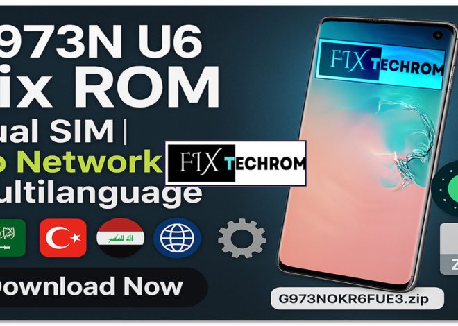 Samsung G973N U6 Dual SIM Fix ROM No Lost Network